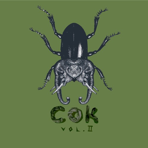 COK’s avatar