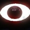 eye