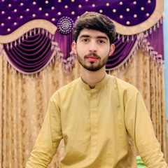 Shehzad Ali