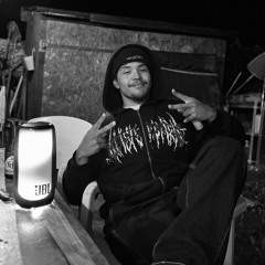 Nico Ansoul