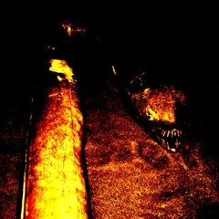gorillacockroach