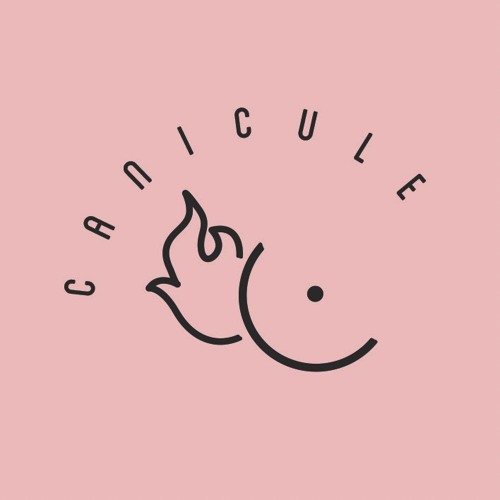 Canicule Musique’s avatar