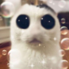 FINN 🍀🌀  ╮⁠(⁠‾⁠.⁠‾⁠“⁠)╭