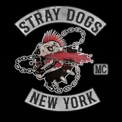 NVRHOME STRAY DOGS