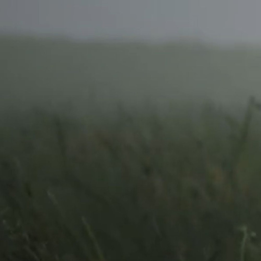 Stream luvwillow | Listen to top hits and popular tracks online for ...
