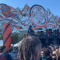Flo cbn