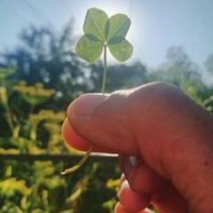 Метин Дуигу