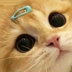 za