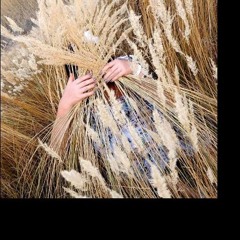 Я не могу слушать Музыку