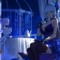 _Illustrious_