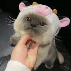 kejo