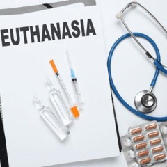 Radoslav /CHAT/  JULY CESAR