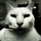 LovеCats