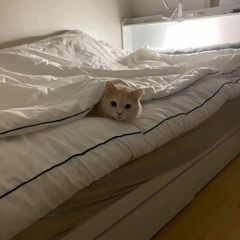 노해성