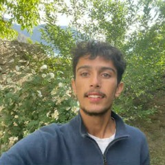 Syed Kamil hussain