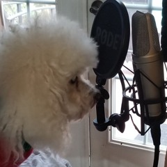 Slave to the Poodle