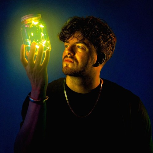 vertile-goodbye (New + live vocals)