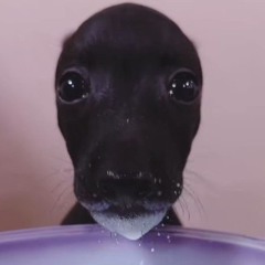 Bettyba3