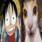 ☆ LUFFY/STAR ☆