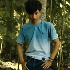 ArmanZ