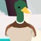 ducducgoose