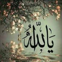 محمد عبدالله