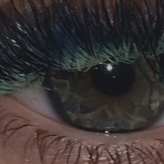 София Башинская