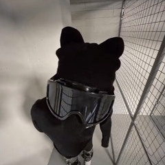 envyzay