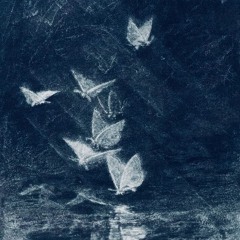 Andrømeda