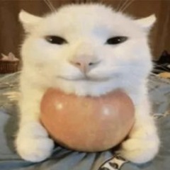 @ma6Jlemku