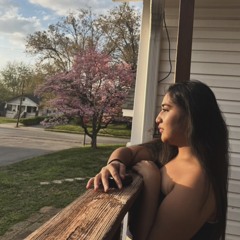 $PALIKIREZE