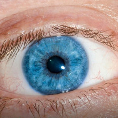 Eye on the Sky