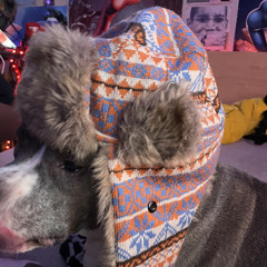 BigShlom