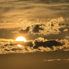 Yesterday's Gone