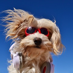 ヴァジュラid from human theater