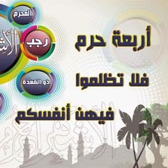 Ahmed Shehata