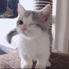 T0r_!