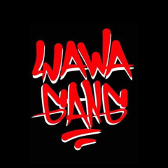 Yawa Gang