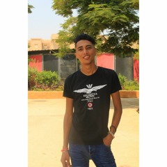 Basem Hesham