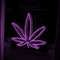 lilpurp