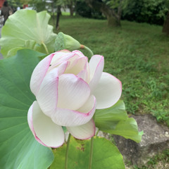 むすび