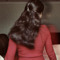 Amal