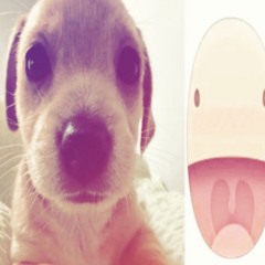 sipa:3