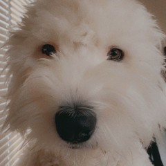 javi <3