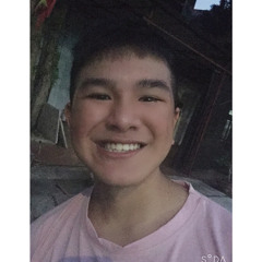 Nam Perr