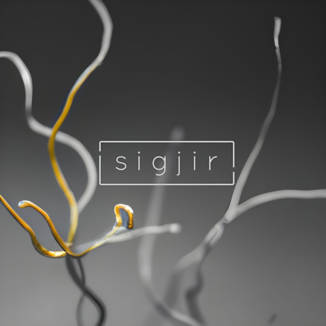 sigjir’s avatar