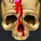 SkulderTES