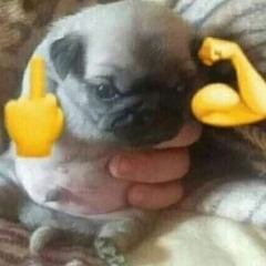 hsktrbl