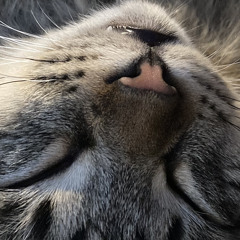 K€^+z3L