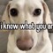 i know what you are
